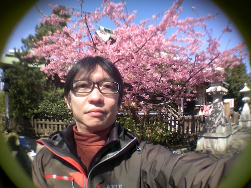 桜の新しい楽しみ方「早起き花見」